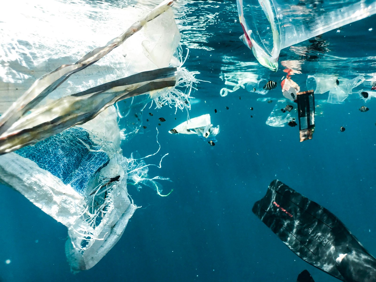 The Surprising Effects of Microplastics on Our Oceans