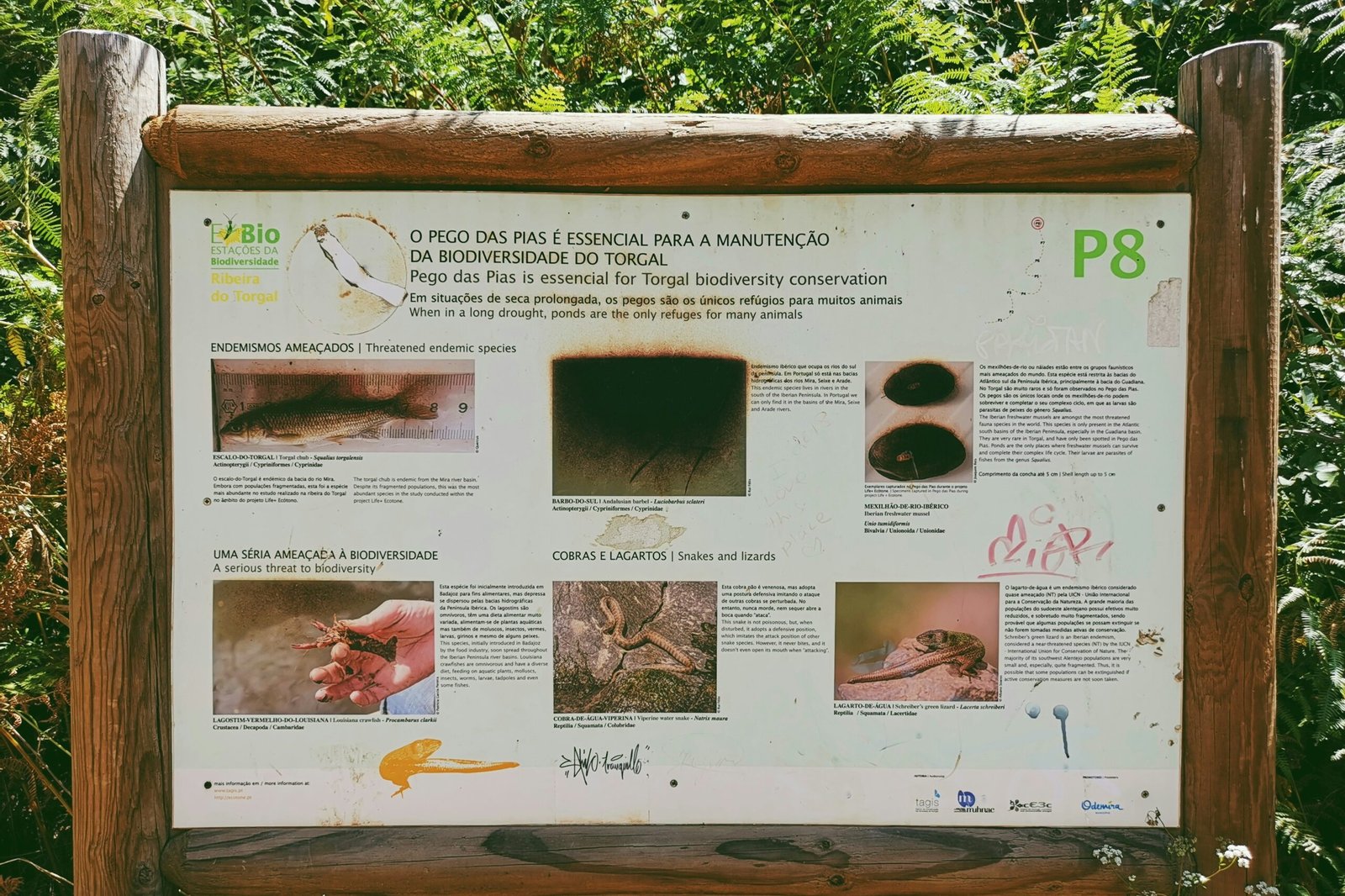 La importancia de la biodiversidad: proteger los ecosistemas de la Tierra